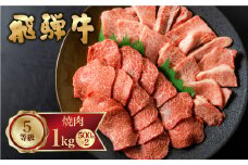 飛騨牛 霜降り(ロース・カタロース)/赤身(モモ・カタ)　焼肉 計1kg バーベキュー BBQ やきにく A5 5等級 肉 牛肉 和牛 国産 食べ比べ 冷凍