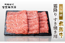 飛騨牛 5等級 霜降り すき焼き用 500g 飛騨市推奨特産品 古里精肉店