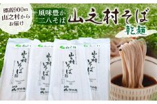 山之村そば 2袋入り(4人前) 蕎麦 年越しそば 乾麺 二八そば 乾麺 常温保存 麺　飛騨市