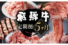 【毎月お届け】飛騨牛 5回定期便 （スライス すき焼き しゃぶしゃぶ 焼肉 牛串 ）5回 お楽しみ 食べ比べ 牛肉 肉 和牛