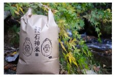 《先行予約》令和6年産　飛騨の米　石神米 特Ａランクコシヒカリ10kg こしひかり 白米 米 コメ こめ ご飯 ごはん 新米 2024年9月より順次発送 syun94