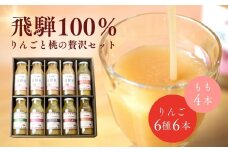 黒内果樹園の桃とりんごのジュース 10本セット