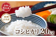 令和6年産 飛騨の蔵出し コシヒカリ 20kg 20キロ お米 精白米 こしひかり 米 お米 精米 白米