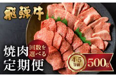 《12回 毎月お届け》【定期便】飛騨牛 焼肉 定期便 | 飛騨牛 霜降り(ロース・カタロース)/赤身(モモ・カタ)　2回 3回 4回 6回 12回 隔月 年間 1年間 焼肉 500g バーベキュー BBQ やきにく A5 A4 5等級 4等級 肉 牛肉 和牛 国産 食べ比べ