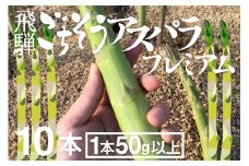 《先行予約》《期間・数量限定》2025年産プレミアムアスパラ 1本50g以上の極太アスパラガス 10本 syun76
