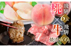 朝採れ 飛騨のこだわり桃 6玉(1.5kg) × 飛騨牛焼肉切り落とし400g / 個々でお届け / 飛騨牛 焼肉 切り落とし 400g 訳あり わけあり 不揃い ミックス 牛肉 肉 和牛 国産 桃 もも 白桃 果物 ギフト 贈答 家庭用 フルーツ デザート 旬 モモ 送料無料 定期便 35000円