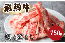 《訳あり》飛騨牛 切り落としスライス 750g 焼肉 牛肉 黒毛和牛 和牛 すき焼き 焼き肉 訳アリ わけあり ワケアリ 不揃い 部位おまかせ 煮物 飛騨古川 18000円