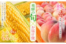 朝採れ 飛騨のこだわり桃 2.5kg(8-9玉) × 飛騨産 とうもろこし 4kg(8-10本) / 個々でお届け / 桃 モモ 白桃 果物 フルーツ ギフト 贈答 産地直送 スイーツ フルーツ 旬 モモ 送料無料 旬 トウモロコシ サイズ不揃い 野菜 BBQ 夏 定期便 30000円 3万円