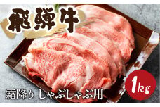 5等級 飛騨牛霜降り しゃぶしゃぶ 500g × 2 計1kg 牛肉 和牛 リブロース カタロース [Q1027_sha_1] 80000円 8万円