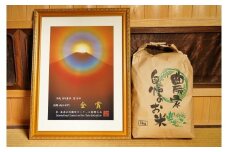 【先行予約】令和7年産 金賞受賞農家田中農園の自慢のお米 飛騨産コシヒカリ15kg 新米 米 こめ ごはん 予約 syun215