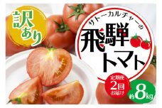 《先行予約》【訳あり】飛騨トマト 合計約8kg 定期便 2回お届け 6月下旬～11月にかけて収穫次第順次発送 とまと トマト 麗月 訳あり 不揃い 傷 キズ 玉数・大きさおまかせ 15～28玉 サトーカルチャー syun23