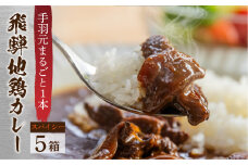 訳あり 飛騨地鶏カレー(5袋) チキンカレー スパイシー 簡易包装