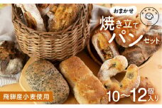 市東製作所おまかせパンセット Lサイズ（10-12個程度）冷凍パン 飛騨市