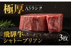 A5等級 飛騨牛 シャトーブリアン ヒレステーキ 190g×3枚（計570g）牛肉 和牛 ステーキ 厚切り 飛騨市肉 にく ヒレ 黒毛和牛 和牛 国産 飛騨岐阜人 2025年 3枚 a5 a5等級