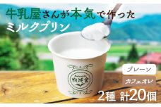 牛乳屋さんのつくるミルクの自然なおいしさを詰め込んだ濃厚ミルクプリン2種 20個 プレーン カフェオレ お菓子 スイーツ 洋菓子 寒天 冷凍発送 卵不使用 生クリーム不使用 食べ比べ  牧成舎 