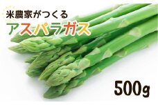 《先行予約》令和7年産 6月下旬以降発送 米農家がつくる！ 水にこだわった朝採れアスパラガス M~L 500g 野菜 春野菜 夏野菜 アスパラ 朝採れ 訳あり わけあり 不揃い 池本農園 syun115