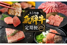 飛騨牛づくし定期便 12回 2人前 肉 定期便 飛騨牛 5等級 しゃぶしゃぶ すき焼き ステーキ 焼肉 お楽しみ定期便 12ヵ月 もも うで 食べ比べ 国産牛 国産 牛肉 肉 厳選 熟成 肉の沖村 飛騨市