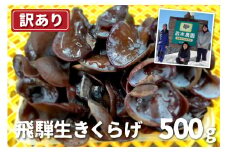 【訳あり】生きくらげ 500g　政木農園 キクラゲ 飛騨 簡易包装 訳アリ わけあり ワケアリ 家庭用 飛騨市