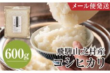 令和6年産 飛騨産 コシヒカリ 600g お試しサイズ こしひかり 米 お米 精米 新米 白米 精白米 小分け 便利 新鮮 清水農園 メール便発送