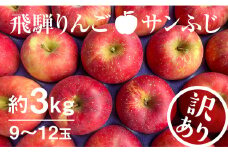 【11月下旬から1月上旬発送】《訳あり》りんご サンふじ 約3kg 9～12玉 飛騨りんご 林檎 黒内果樹園 果物 国産 飛騨産 ご家庭用 家庭用 無袋栽培 syun35 1万円
