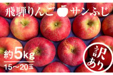 【11月下旬から1月上旬発送】《訳あり》りんご サンふじ 約5kg 15～20玉 飛騨りんご 林檎 黒内果樹園 果物 国産 飛騨産 ご家庭用 家庭用 無袋栽培 syun35