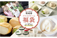 訳あり≪牧成舎≫コロナに負けない！飛騨のミルクの旨味たっぷりアイスクリーム福袋 10点セット 味お任せ アイス アイスクリーム 国産 飛騨市 生乳 人気 おすすめ 冷凍 福袋 飛騨市