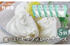 【年内発送】＜牧成舎＞牛乳屋がていねいに作ったフレッシュモッツァレラチーズ5個  チーズ モッツァレラチーズ チーズセット 冷蔵  小分け 個包装  パスタ ピザ  前菜 サラダ 低温殺菌  乳製品 飛騨市 