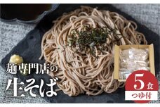 訳あり 生そば 5食 つゆ付 蕎麦 そば 生麺 合成保存料不使用 常温保存 簡易包装 老田屋 年越しそば 飛騨市　メール便発送