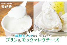 牛乳屋さんのつくるミルクの自然なおいしさを詰め込んだ ミルクプリン12個＆モッツァレラチーズ3個  冷蔵発送 冷凍発送 乳製品 バラエティセット  牧成舎 