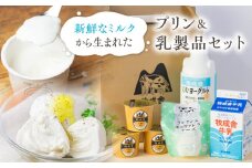 牛乳屋さんのつくるミルクの自然なおいしさを詰め込んだ ミルクプリン12個＆牛乳 ヨーグルト チーズ よりどり乳製品ミニセット  冷蔵発送 冷凍発送 乳製品 バラエティセット  牧成舎 
