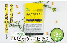 ユビオケルセチン 60日分 20日分 サプリ サプリメント 健康商品 機能性表示食品　飛騨市 ケルセチン ダイエット ダイエットサポート 活力  中高年 飛騨市 [Q2724] 20000円 2万円