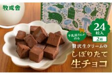 生チョコレート  2箱(1箱12粒入り)   生クリーム使用 チョコレート スイーツ 冷凍 洋菓子 ギフト 贈答 贈り物 プレゼント 牧成舎 ホワイトデー