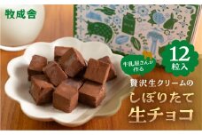 生チョコレート  1箱(1箱12粒入り)   生クリーム使用 チョコレート スイーツ 冷凍 洋菓子 ギフト 贈答 贈り物 プレゼント 牧成舎 ホワイトデー
