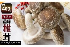 菌床しいたけ 約400g 約100g×4パック 枚数おまかせ 国産 椎茸 シイタケ 生しいたけ きのこ キノコ 鍋 すきやき すき焼き