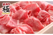 《通常発送》【訳あり】飛騨牛 ちょっとリッチな切り落とし500g　牛肉 和牛 肉 切り落とし 飛騨市推奨特産品 飛騨市 