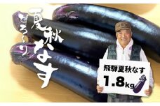 先行予約 令和7年産【7月上旬～10月中旬発送】飛騨 夏秋なす 1.8kg 茄子 ナス 大なす 産地直送 夏野菜 syun170