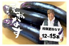 先行予約 令和7年産【7月上旬～10月中旬発送】飛騨 夏秋なす 3.5kg (12-15本)茄子 ナス 大なす 産地直送 夏野菜 syun170