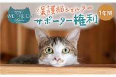 保護猫シェルターサポーター 1年間 権利 SAVE THE CAT HIDA PROJECT ねこ ネコ 猫 支援 保護猫ライフ 観光 旅行 体験 ネコリパブリック