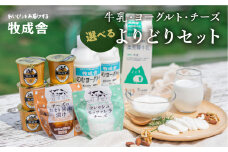 ＜牧成舎＞スタンダードセット モッツァレラチーズ  乳製品福袋 牛乳・ヨーグルト・チーズ　飛騨産生乳で作るこだわりのセット 乳飲料 乳製品 ヨーグルト チーズ モッツァレラチーズ 飲むヨーグルト 牧成舎  アイス ピザ プリン スイーツ 惣菜 飛騨市 