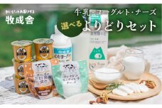 ＜牧成舎＞スイーツセット 乳製品福袋 牛乳・ヨーグルト・チーズ　飛騨産生乳で作るこだわりのセット 乳飲料 乳製品 ヨーグルト チーズ モッツァレラチーズ 飲むヨーグルト 牧成舎  アイス ピザ プリン スイーツ 惣菜 飛騨市 