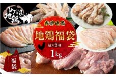 飛騨地鶏 お楽しみ福袋 合計1kg 鶏肉 小分け 福袋 飛騨地鶏 地鶏 モモ肉 手羽先 手羽元 ささみ  鶏肉 飛騨 10000円 1万円