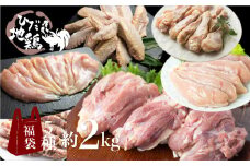 飛騨地鶏 お楽しみ福袋 合計2kg 鶏肉 小分け 福袋 飛騨地鶏 地鶏 モモ肉 手羽先 手羽元 ささみ 合計1.7kg 鶏肉 飛騨