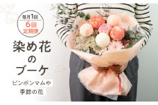 6回定期便 ピンポンマムを中心とした染め花のブーケ 花 花束 ギフト 贈り物 ブーケ 生花 季節の花 菊 赤 ピンク 誕生日 フラワー 雑貨 インテリア 人気 母の日 父の日 切花 菊 キク