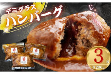 《簡易包装》飛米牛入りデミグラスソースハンバーグ 200g×3枚 簡単調理 温めるだけ 湯煎 レトルト 冷凍
