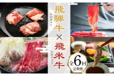 飛騨牛 × 飛米牛 全6回 ブランド牛 定期便 焼肉 すき焼き しゃぶしゃぶ 国産 ブランド牛 食べ比べ セット 牛肉 肉 和牛 すきやき お楽しみ 定期 6回 毎月 冷凍 お届け 飛騨市 70000円 7万円