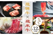 飛騨牛 × 飛米牛 全12回 ブランド牛 定期便 焼肉 すき焼き しゃぶしゃぶ ハンバーグ 切り落とし すきやき 切落し 味付け 国産 ブランド牛 食べ比べ セット 牛肉 肉 和牛 お楽しみ 12回 定期 毎月 冷凍 お届け 飛騨市 140000円 14万円