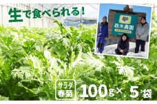 令和7年産先行予約【6月上旬～10月下旬発送】サラダ春菊 100g × 5袋 計500g 政木農園 無農薬栽培 野菜 syun88