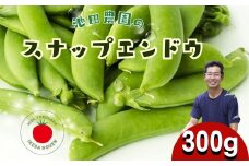 先行予約＼シャキシャキ プリプリ／ 採れたて スナップエンドウ 300g 令和8年産 飛騨産 国産 スナップえんどう 旬 旬もの 産地直送 野菜【2026年6月上旬～6月下旬発送】飛騨市 池田農園 6000円  6千円