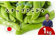 先行予約＼シャキシャキ プリプリ／ 採れたて スナップエンドウ 1kg 令和8年産 飛騨産 国産 スナップえんどう 旬 旬もの 産地直送 野菜【2026年6月上旬～6月下旬発送】飛騨市 池田農園 10000円 1万円 [Q2944.Q2945]