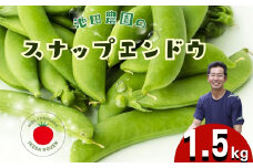 先行予約＼シャキシャキ プリプリ／ 採れたて スナップエンドウ 1.5kg 令和8年産 飛騨産 国産 スナップえんどう 旬 旬もの 産地直送 野菜【2026年6月上旬～6月下旬発送】飛騨市 池田農園 15000円  [Q2944.Q2945]